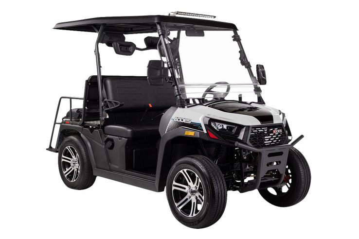 AODES UTV 300-10 Golf