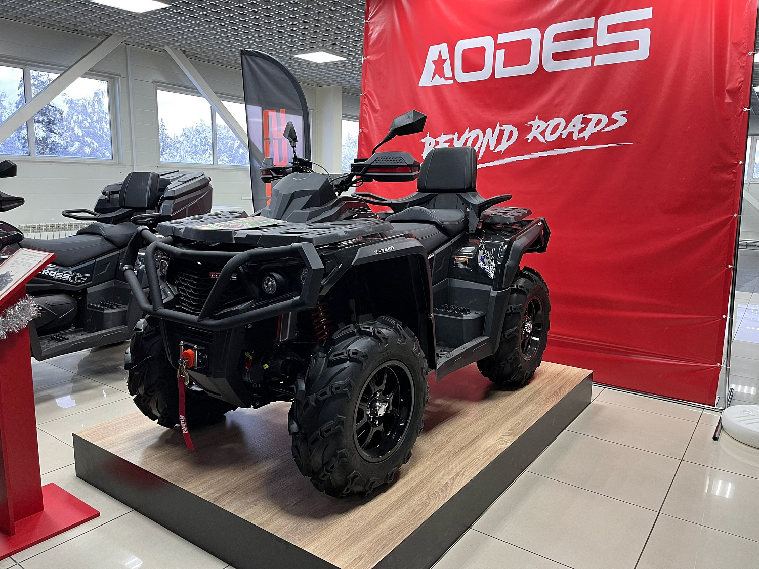 AODES Pathcross ATV650L PRO EPS в Тихвин Моторс